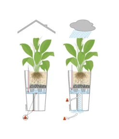 LECHUZA® CUBICO Color, All-in-One-Set -Günstig Gartenbedarf 001 InOutdoorLechuza