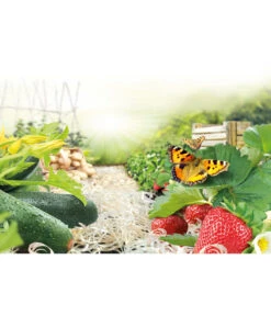 Ziegler Pro Natur® Erdbeer- & Gemüsewolle, 48 X 850 Gramm -Günstig Gartenbedarf 1614080 WE MO 001 ErdbeerundGemueseholzwolle850g