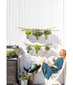 Dehner Gourmet Garten Zitronenmelisse -Günstig Gartenbedarf 20181011 PR MO 003 Kraeuter 01