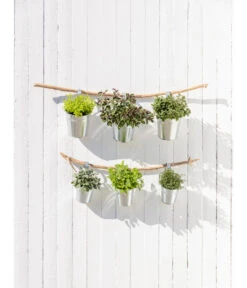 Bestseller -Günstig Gartenbedarf 20181011 PR MO 003 Kraeuter 04 2