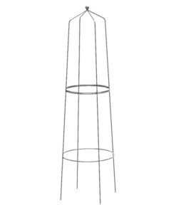 Dehner Obelisk Nova
