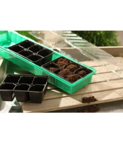 Dehner Zimmergewächshaus Frans, 54 X 15 X 12 Cm -Günstig Gartenbedarf 207456 BildM 001 RombergZimmergewaechshausFransFensterbGewH54X15x12