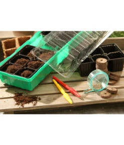 Dehner Zimmergewächshaus Frans, 54 X 15 X 12 Cm -Günstig Gartenbedarf 207456 BildM 002 RombergZimmergewaechshausFransFensterbGewH54X15x12