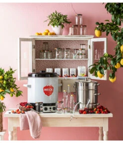 Dampfentsafter, 8 L -Günstig Gartenbedarf 209304 WE MO 007 EinkochglasObst6Eck