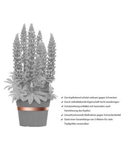 Dehner Bio Schneckenband Kupfer, 5 M 9 Dehner Bio Schneckenband Kupfer, 5 M -Günstig Gartenbedarf 2536555 WE IG 001 DehnerBioSchneckenbandKupfer5m