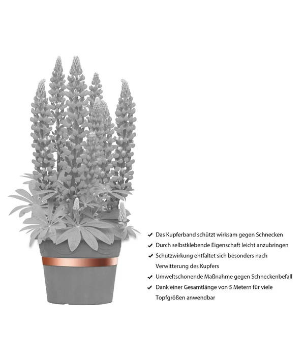 Dehner Bio Schneckenband Kupfer, 5 M 6 Dehner Bio Schneckenband Kupfer, 5 M - Image 4