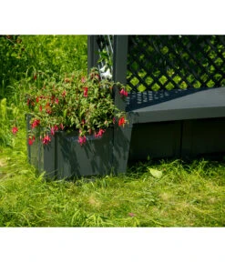 KHW Kunststoff-Gartenbank Mit Rosenbogen Amsterdam, Ca. B174/H207/T49 Cm -Günstig Gartenbedarf 2548717 WE DE 002 BankAmsterdammanthrazit