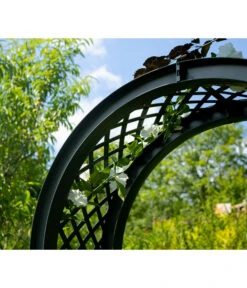 KHW Kunststoff-Gartenbank Mit Rosenbogen Amsterdam, Ca. B174/H207/T49 Cm -Günstig Gartenbedarf 2548717 WE DE 004 BankAmsterdammanthrazit