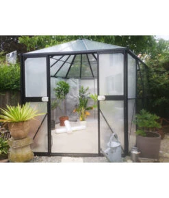 Dehner Pflanzen-Isolierfolie -Günstig Gartenbedarf 2590727 1007400 WE MO 003 DehnerPflanzenIsolierfolie