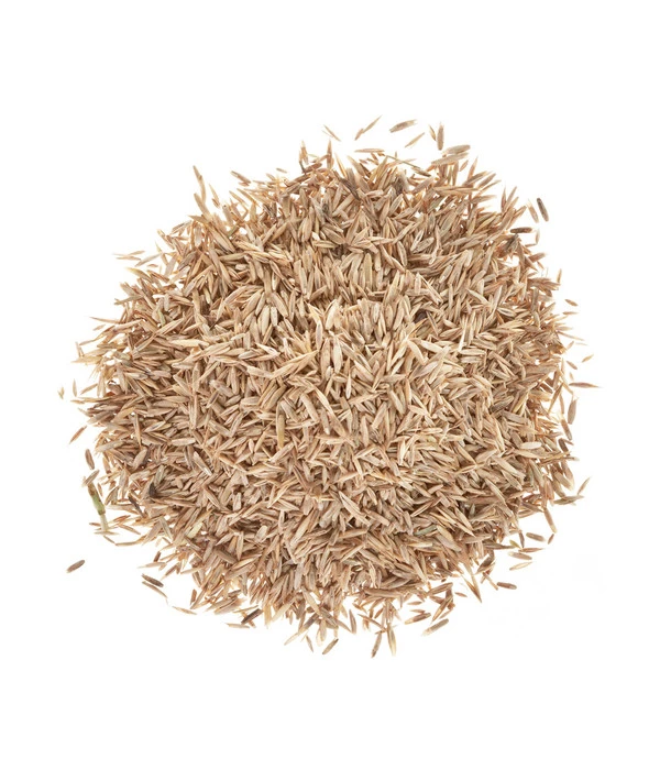 Wolf-Garten Wolf Saatgut Strapazier-Rasen 4 Wolf-Garten Wolf Saatgut Strapazier-Rasen - Image 2