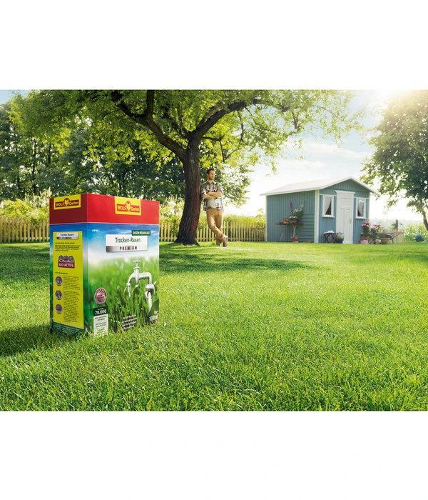 Wolf-Garten Trocken-Rasen Premium L-TP 4 Wolf-Garten Trocken-Rasen Premium L-TP - Image 2