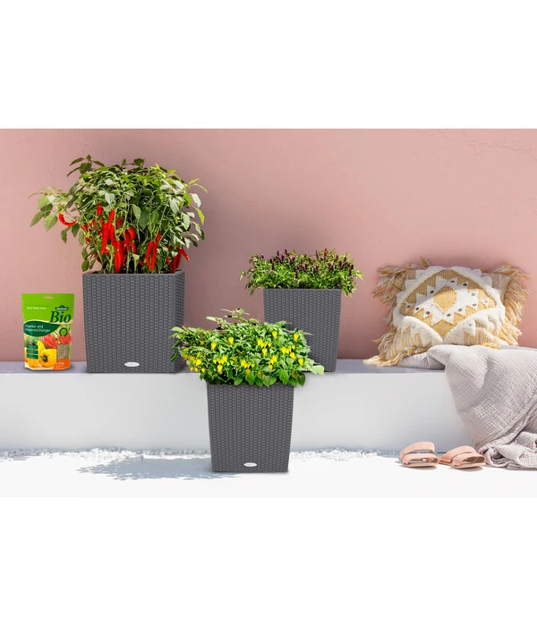 Dehner Bio Paprika- Und Peperoni-Dünger, 750 G – Bild 2