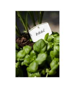 Elho Pflanz-Stift, 5 Stück 7 Elho Pflanz-Stift, 5 Stück -Günstig Gartenbedarf 3266806 MO FS 001 PflanzstiftMweissElhoEtikett