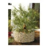 Bellissa Stahl-Hochbeet, Rund -Günstig Gartenbedarf 3559531 WE FS 001 bellissaHochbeet92cm
