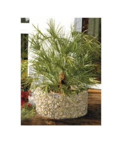 Bellissa Stahl-Hochbeet, Rund