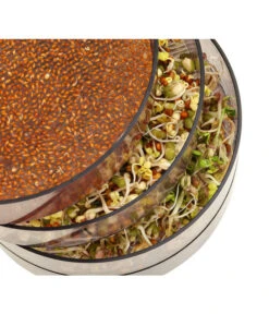 Dehner Sprossenhaus, 4 Schalen -Günstig Gartenbedarf 3677101 WE MO 002 DehnerSprossenhausKeimsprossen