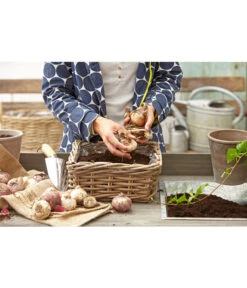 Van Der Leeden Rattan-Pflanzkasten, Graubraun -Günstig Gartenbedarf 3692761 3692548 3692506 WE MO 008 RattanPflanzkastenbraunBlumenkasten