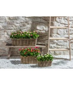 Van Der Leeden Rattan-Pflanzkasten, Graubraun -Günstig Gartenbedarf 3692761 3692548 3692506 WE MO 013 RattanPflanzkastenbraun