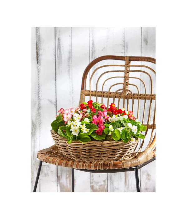 Van Der Leeden Rattan-Pflanzschale, Braun, Ø 41 Cm 4 Van Der Leeden Rattan-Pflanzschale, Braun, Ø 41 Cm - Image 2