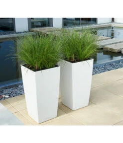 LECHUZA® CUBICO Color, All-in-One-Set -Günstig Gartenbedarf 3698362 BildM 001 LechuzaCubicoCubicoColor22KplWeiss