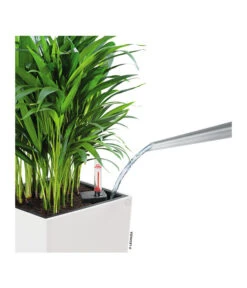 LECHUZA® CUBICO Color, All-in-One-Set -Günstig Gartenbedarf 3698362 WE DE 001 Cubicocolor22WeissLechuza