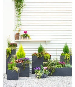 Dehner Kunststoff-Blumenkübel Palermo, Anthrazit -Günstig Gartenbedarf 3728110 3940764 3693611 WE MO 001 KunststoffPflanzkastenKubus