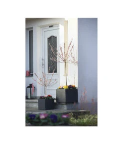 Dehner Kunststoff-Blumenkübel Palermo, Anthrazit -Günstig Gartenbedarf 3728110 WE MO 001 KunststoffTopfKubusAnthrazitBlumenkuebelBlumentopfKubus