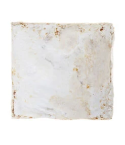 Pilzmännchen Bio Pilzzuchtset Austernpilz -Günstig Gartenbedarf 3940285 BildD 002 PilzmaennchenBioHomePilzzuchtsetAusternpilzPilzbrutAusternpilzSet