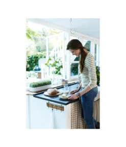 Elho Anzuchthaube L -Günstig Gartenbedarf 4026704 WE MO 001 AnzuchthausLTransparentElho