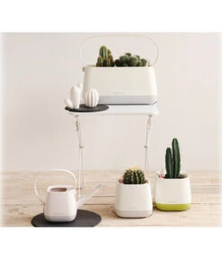 LECHUZA® YULA Gießkanne, 1,7 L 14 LECHUZA® YULA Gießkanne, 1,7 L -Günstig Gartenbedarf 4065934 PR MO 001 4065884 4065850 4065876 YulaSetWeissGrauGruen