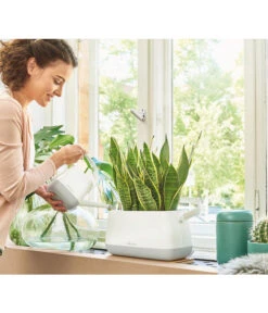 LECHUZA® YULA Gießkanne, 1,7 L 12 LECHUZA® YULA Gießkanne, 1,7 L -Günstig Gartenbedarf 4065934 PR MO 001 YulaPflanztascheWeissGrau 4065884