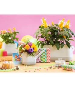 LECHUZA® YULA Gießkanne, 1,7 L 15 LECHUZA® YULA Gießkanne, 1,7 L -Günstig Gartenbedarf 4065934 PR MO 002 4065884 4065850 YulaSetWeissGrau