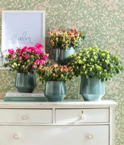 Dehner Keramik-Übertopf Elsa, Bauchig, Türkis 10 Dehner Keramik-Übertopf Elsa, Bauchig, Türkis -Günstig Gartenbedarf 4100160 WE MO 001 TopfElsaPetrolIndoorAzaleen