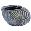Roto Kunststoff-Pflanztopf Muschel, Grau, Ca. B40/H25,5/T30 Cm -Günstig Gartenbedarf 4145843 WE FS 001 RotoTopfMuschel