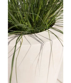 Fleur Ami Polystone-Pflanzgefäß Conical, Konisch, Ca. Ø43/H80 Cm 14 Fleur Ami Polystone-Pflanzgefäß Conical, Konisch, Ca. Ø43/H80 Cm -Günstig Gartenbedarf 4183984 WE DE 002 PolystPflgef43x80cmCreme