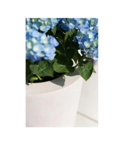 Fleur Ami Polystone-Pflanzgefäß Conical, Konisch, Ca. Ø43/H80 Cm 13 Fleur Ami Polystone-Pflanzgefäß Conical, Konisch, Ca. Ø43/H80 Cm -Günstig Gartenbedarf 4183984 WE MO 002 fleuramiPolystoneConicalPflanzgefaess43x80cmCreme