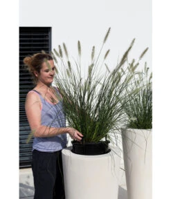 Fleur Ami Polystone-Pflanzgefäß Conical, Konisch, Ca. Ø43/H80 Cm 11 Fleur Ami Polystone-Pflanzgefäß Conical, Konisch, Ca. Ø43/H80 Cm -Günstig Gartenbedarf 4183984 WE MO 003 PolystPflgef43x80cmCreme