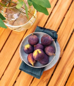 Dehner Aluminium-Lounge Malibu, 2-teilig 19 Dehner Aluminium-Lounge Malibu, 2-teilig -Günstig Gartenbedarf 4209870 WE DE 006 LoungeMalibuNEU