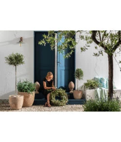 Dehner Terrakotta-Topf Adria, Rund, Antik-terrakotta -Günstig Gartenbedarf 4272530 WE MO 002 TerrakottaTopfterrakottaantik