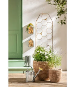 Dehner Terrakotta-Topf Adria, Rund, Antik-terrakotta -Günstig Gartenbedarf 4272530 WE MO 005 DehnerTerrakottaTopfterrakottaantik