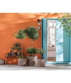 Dehner Terrakotta-Topf, Terrakotta-antik 8 Dehner Terrakotta-Topf, Terrakotta-antik -Günstig Gartenbedarf 4273751 4273777 4273785 WE MO 002 TerrakottaTopf