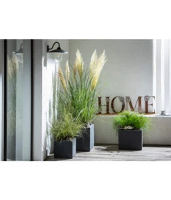 Dehner Kunststoff-Blumenkübel Palermo, Anthrazit -Günstig Gartenbedarf 4292165 WE MO 001 FerrumMetallBuchstabenSetHOMEcaB30H35T14cm