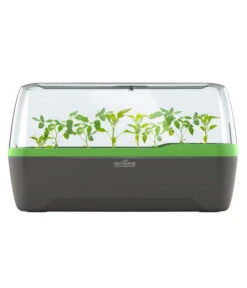 Romberg BoQube Gewächshaus -Günstig Gartenbedarf 4299970 WE FS 005 RombergGewaechshausZimmergewaechshausAnzucht