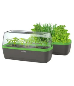 Romberg BoQube Gewächshaus -Günstig Gartenbedarf 4299970 WE FS 006 BoQubeGewaechshausZimmergewaechshaus