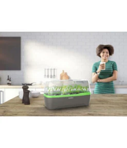 Romberg BoQube Gewächshaus -Günstig Gartenbedarf 4299970 WE MO 001 RombergGewaechshausZimmergewaechshausAnzucht