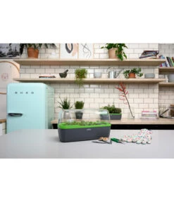 Romberg BoQube Gewächshaus -Günstig Gartenbedarf 4299970 WE MO 002 BoQubeGewaechshausZimmergewaechshaus