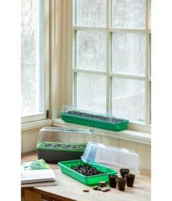 Romberg Zimmergewächshaus -Günstig Gartenbedarf 4299970 WE MO 004 BoQubeZimmergewaechshaus