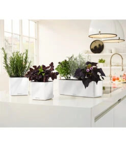 LECHUZA® CUBE Glossy Triple, All-in-One Set, 40 Cm -Günstig Gartenbedarf 4310652 PR MO 003 CubeGlossyTripleWeiss