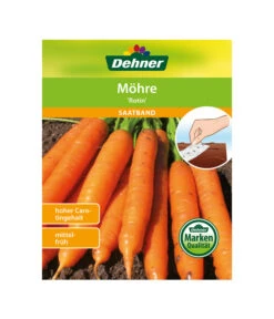 Dehner Samen-Set Easy Going -Günstig Gartenbedarf 4322590 WE FS 004 DehnerSamenSaatgutSaemereienSetEasyGoing