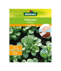 Dehner Samen-Set Easy Going -Günstig Gartenbedarf 4322590 WE FS 005 DehnerSamenSaatgutSaemereienSetEasyGoing